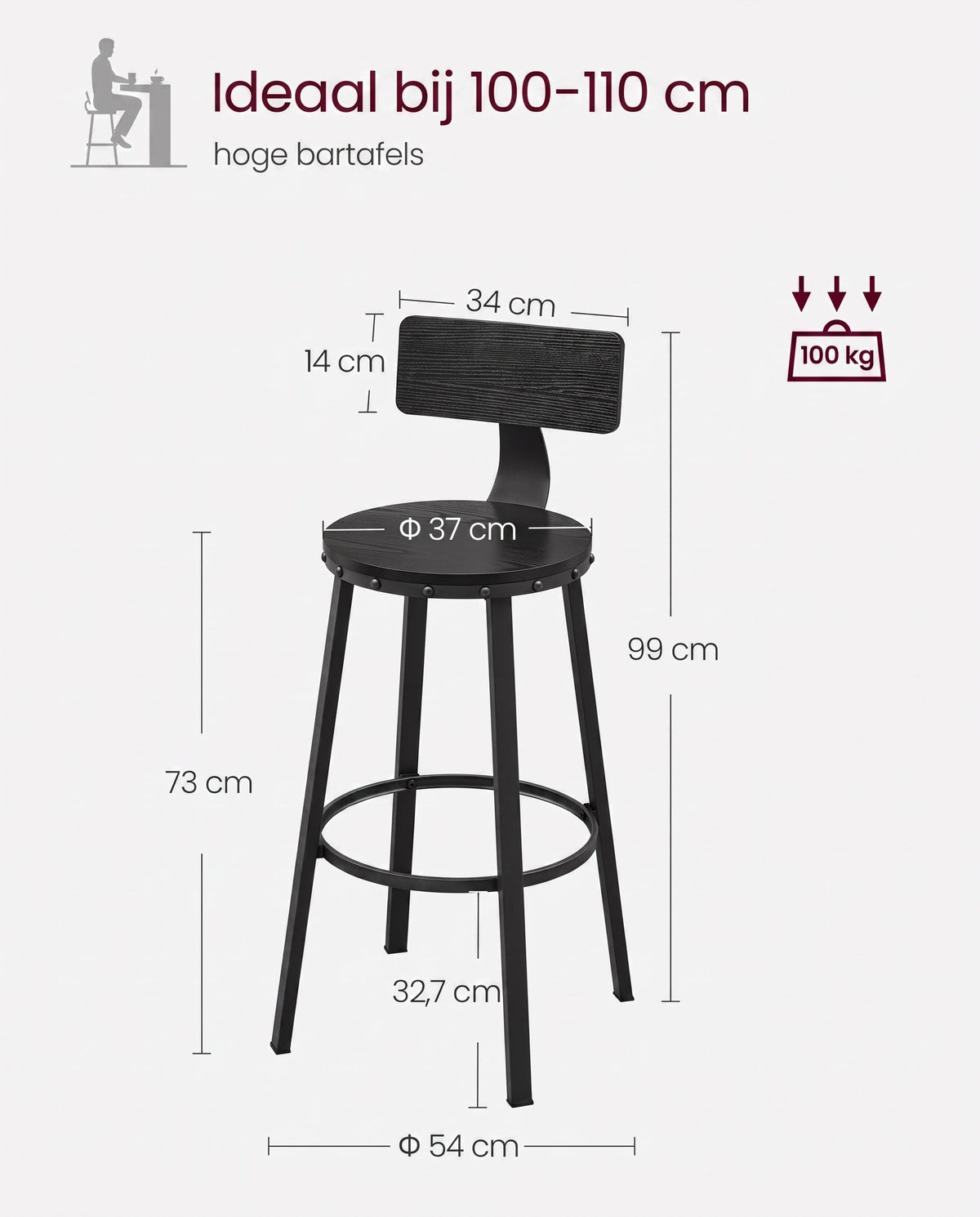 Barkrukken met Rugleuning en Industrieel Design, Set van 2
