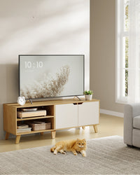 TV-meubel met 2 Deuren en Verstelbare Planken voor Tv's tot 60 Inch
