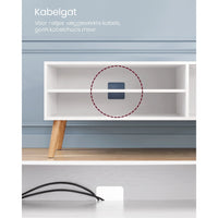 Wit TV-meubel met Deur en 2 Open Vakken, 120 cm