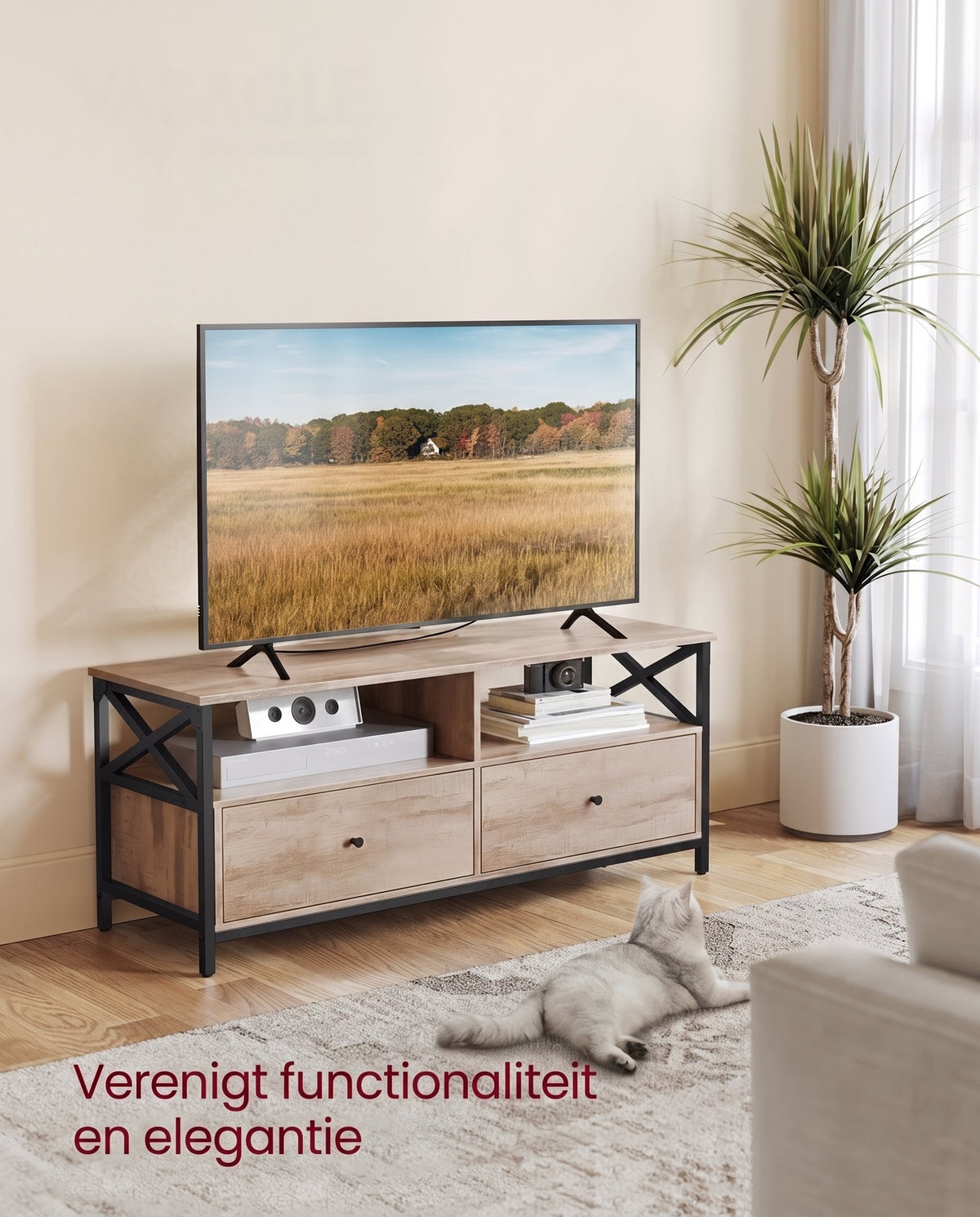 TV-meubel met 2 Lades en 2 Open Vakken, 120 cm