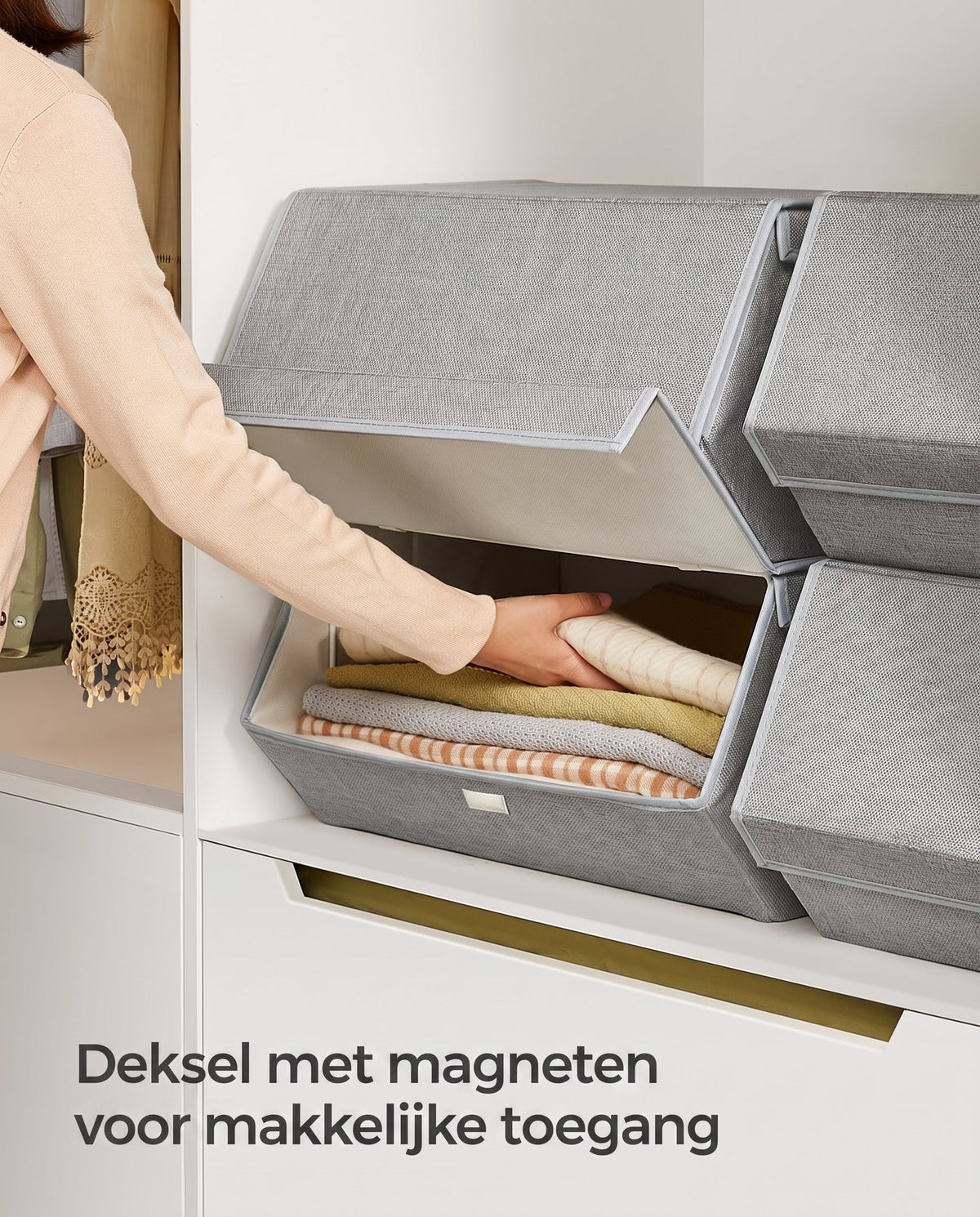 Stapelbare Opbergdozen met Deksel en Magneetsluiting, Set van 4