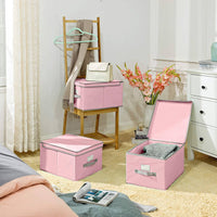 Vouwdozen met Scharnierend Deksel en Labelhouder, Set van 3, 40 x 30 x 25 cm