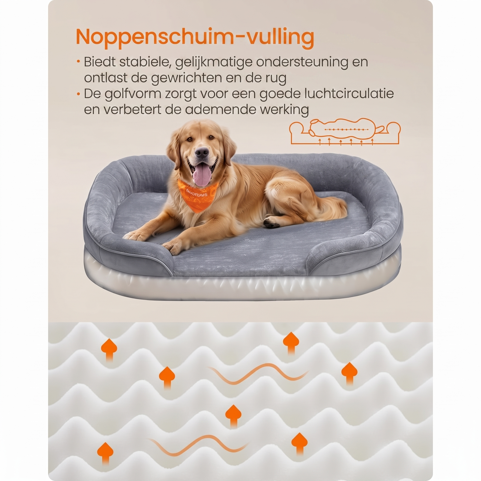 Orthopedische Hondenmand met Afneembare Hoes – productweergave 5 | De Groot Living